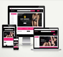 E-Commerce Dessous-Paket Cover v4.0