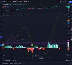 Phoenix Nu-Pu RSI